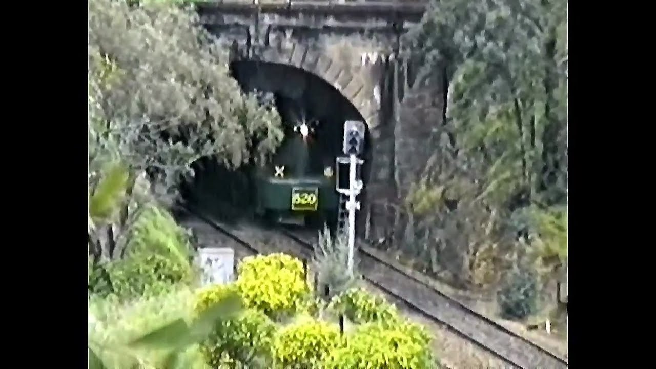 Steam Locomotive 520 Eden Hills Australia 1993
