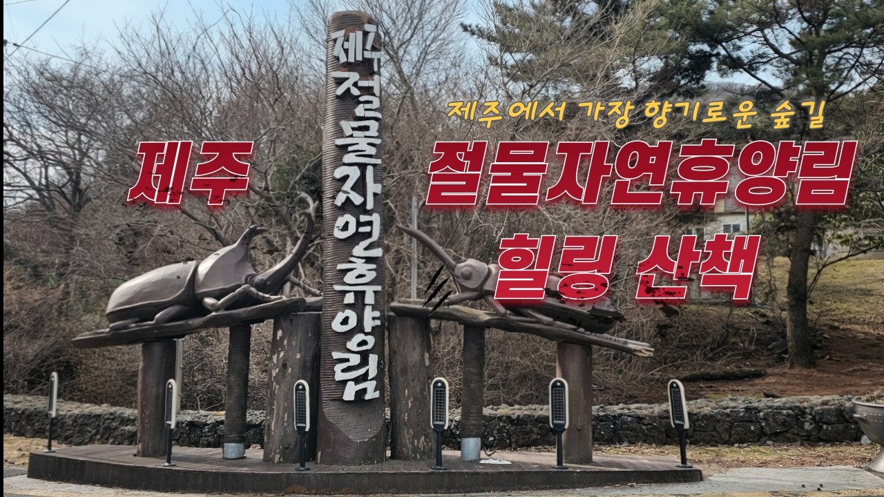 #뚜벅이여행#제주절물자연휴양림 힐링산책