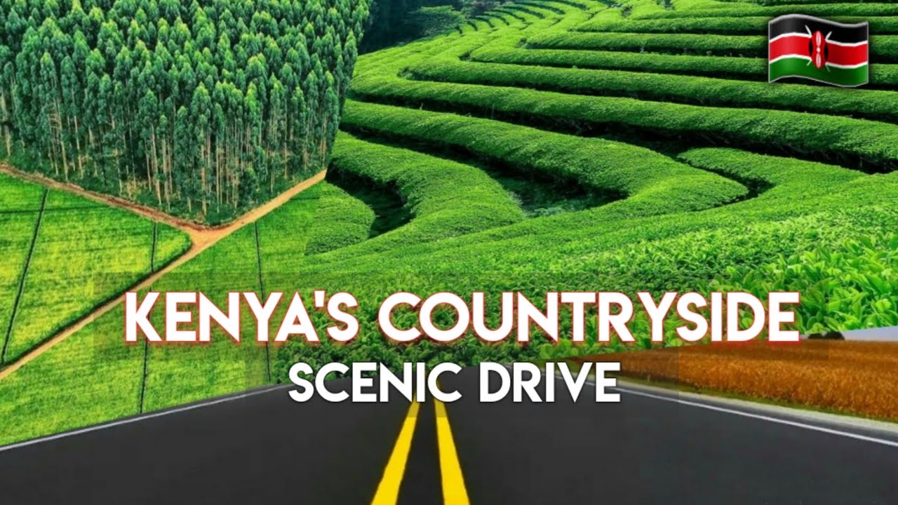 Scenic Drive Through One of the Largest Tea Plantation in Kenya