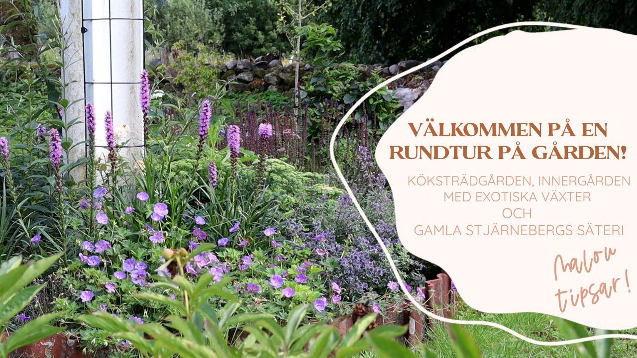 Välkommen på en rundtur på gården!