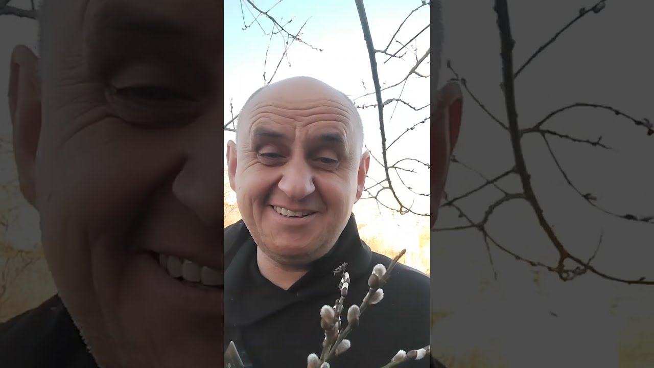 А поліцаї нічого не знали про ту аварію!!!
