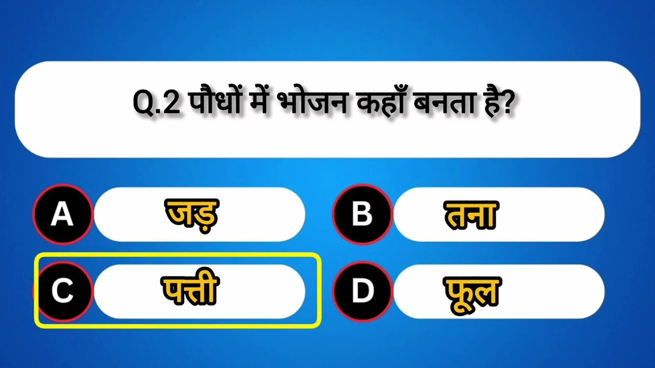 General Knowledge