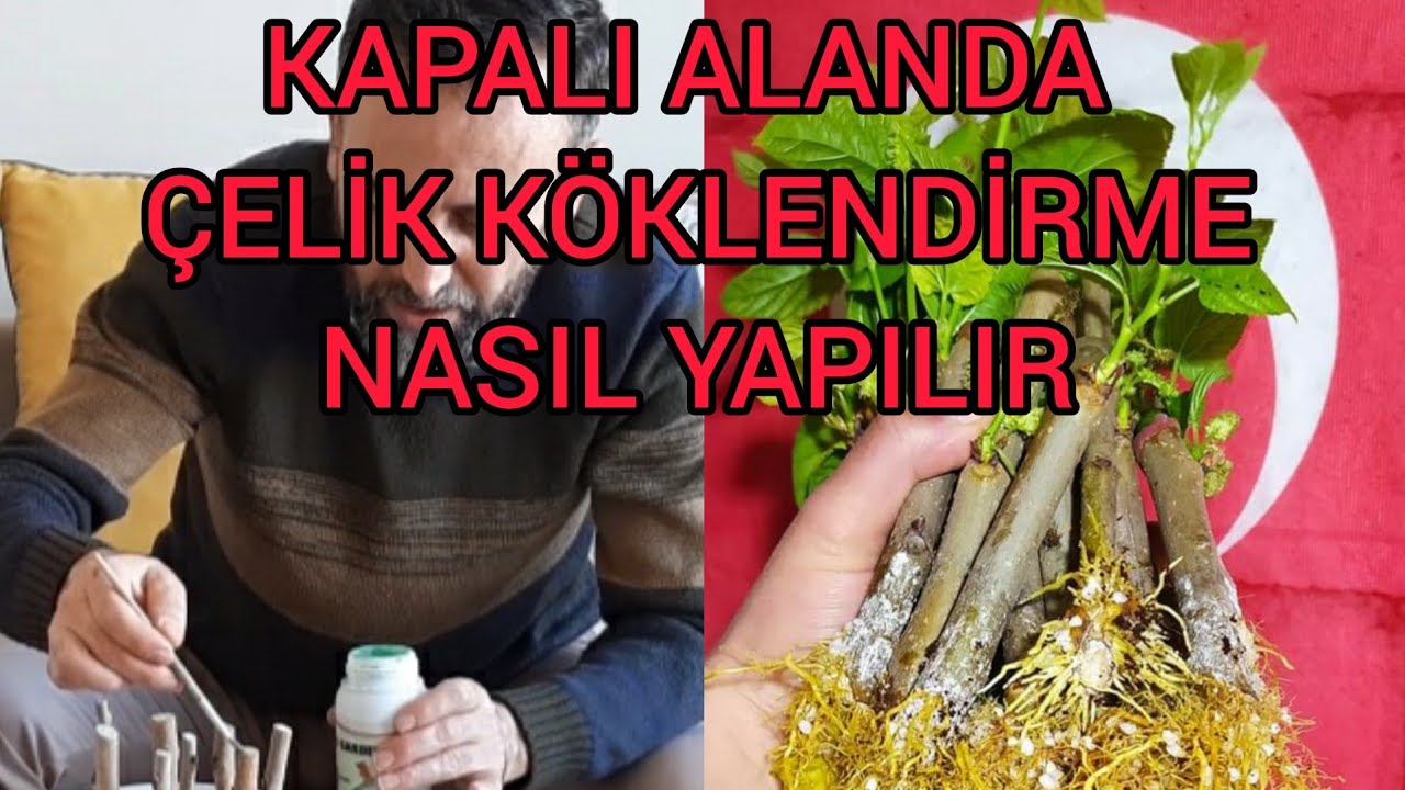 kapalı alanda çelik köklendirme  nasıl yapılır