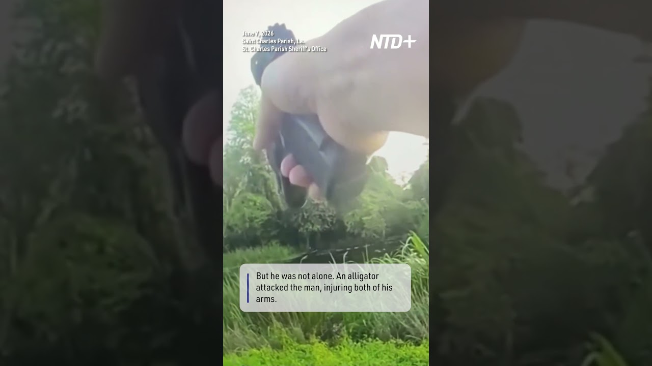 Man Fleeing Police Attacked by Alligator