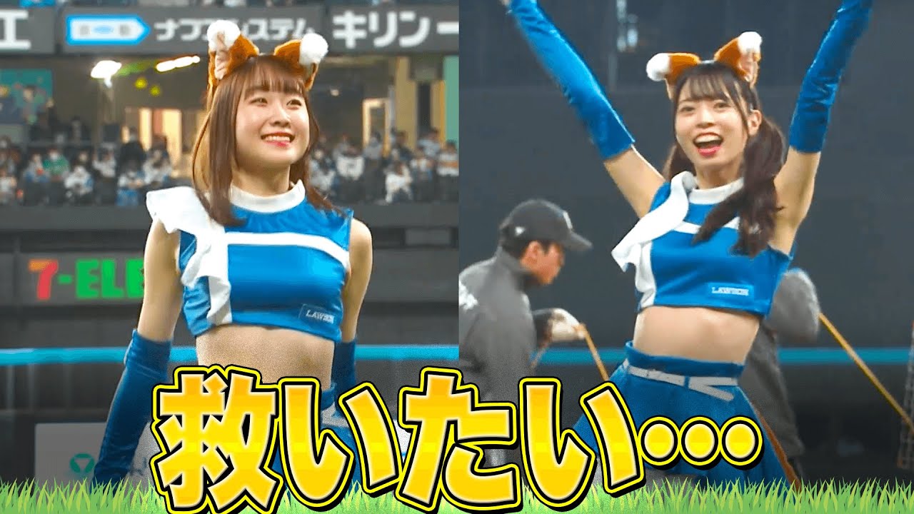 【救いたい…】一度は生で見てみたい『本日の“きつねダンス”報告』