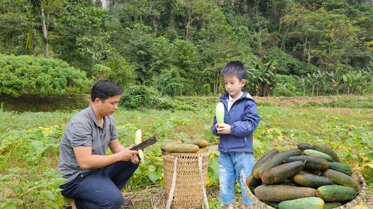 Harvesting the melon garden and bring it to the market to sell-Buy more chicks to raise