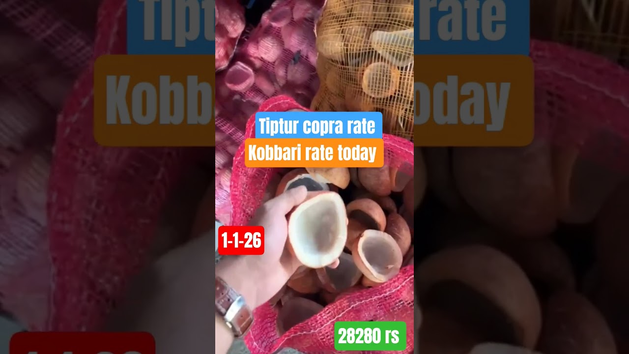Tiptur copra rate, Kobbari rate today, Kobbari market rate today 