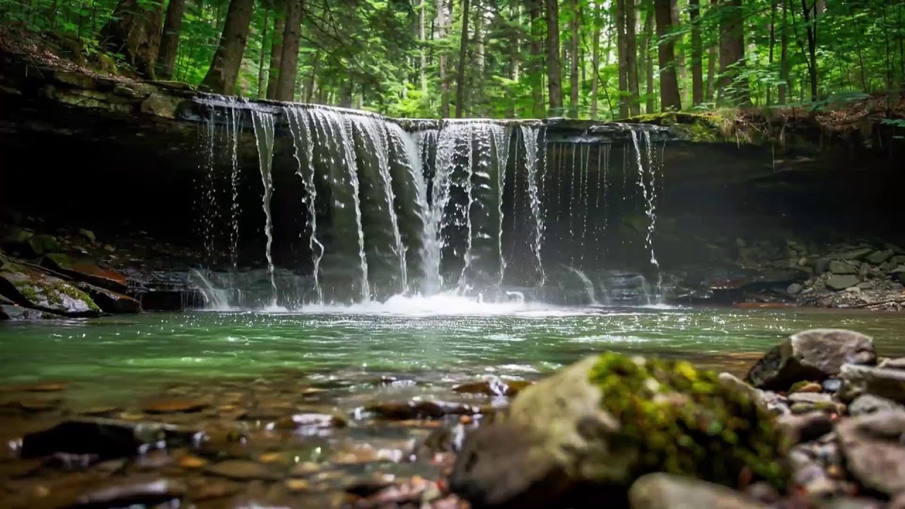 Gentle Piano Music & Water Sounds | Calm Your Mind and Meditate 🌿 Relaxing Sleep Day 3
