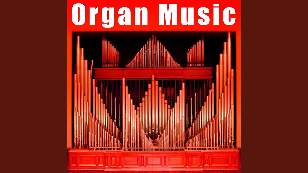 Sports Arena Organ 'Let's Go' Chant