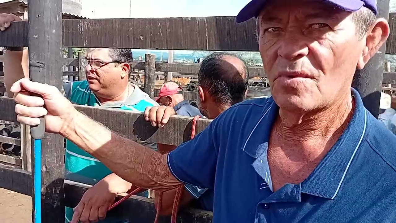 Tabira pe feira do gado maior do Brasil 11/03/26
