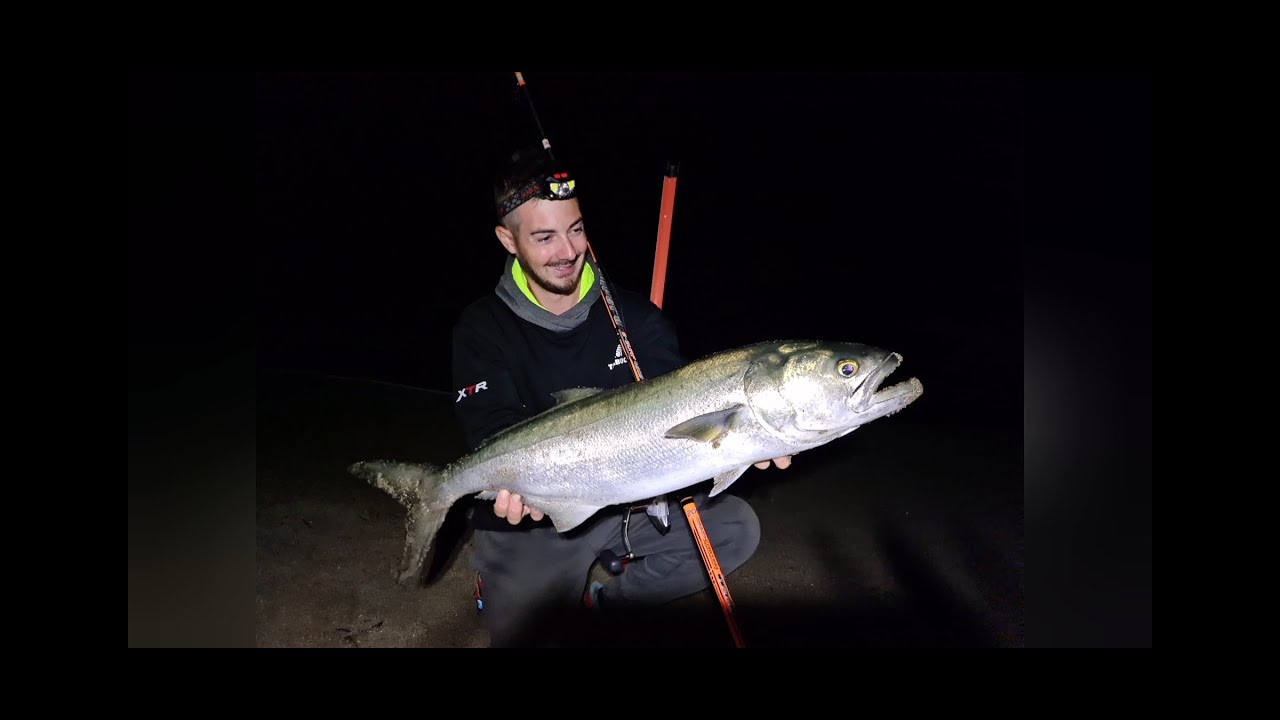 ABC Del Surfcasting - CACCIA AL PESCE SERRA 🌊🎣