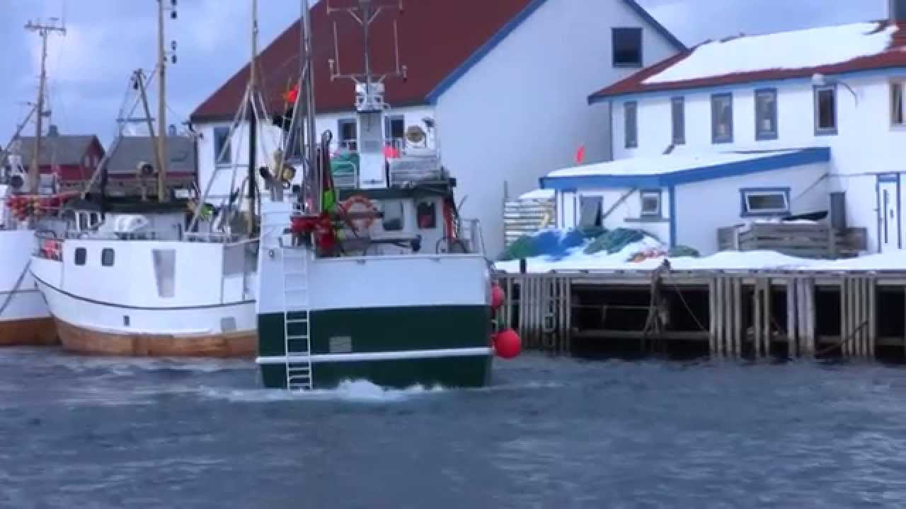 Selfa Arctic Røst 2010