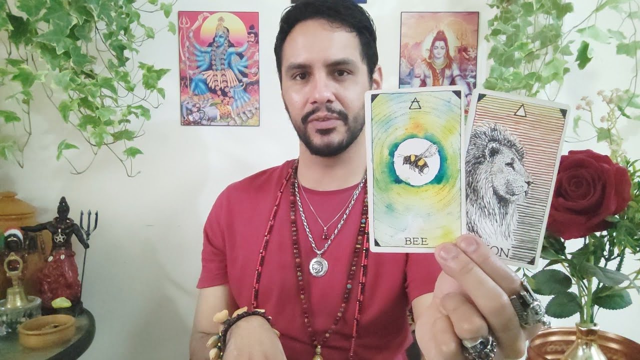 LEÃO ♌ Vai te tirar lágrimas de felicidade. Decepção de quem te inveja. Surpresa da espiritualidade.