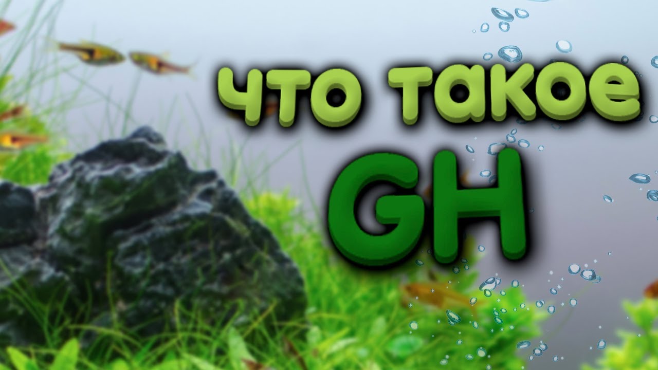 Общая жесткость аквариумной воды. GH. Как понизить жесткость воды в аквариуме.