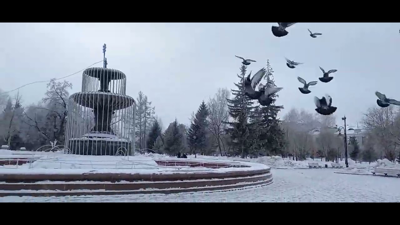 Я УЖЕ В ОМСКЕ 🚘. ФЕВРАЛЬ, МАРТ, АПРЕЛЬ 🌞