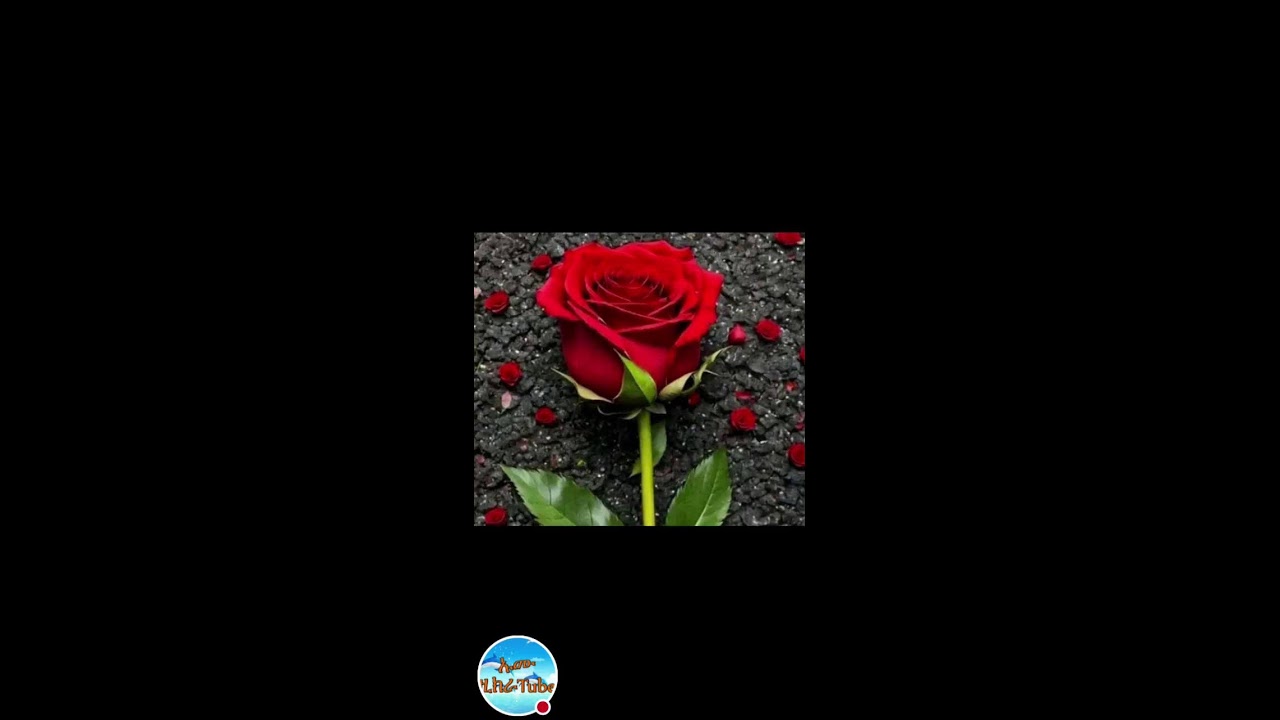 ኡሙ ዚክራ is live aselamalyekum betseb