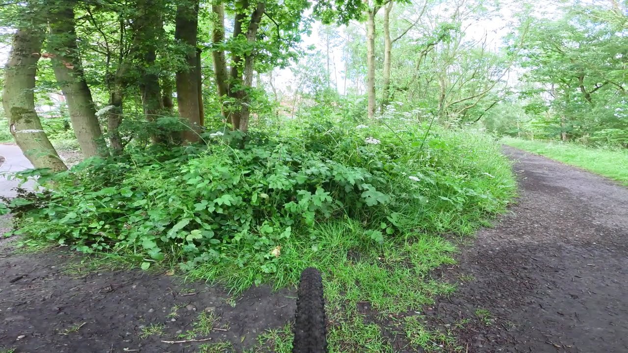 Early Morning Cycling: Slow TV / ASMR: Sedgefield to Winyard Woodland Park 4K 50 fps