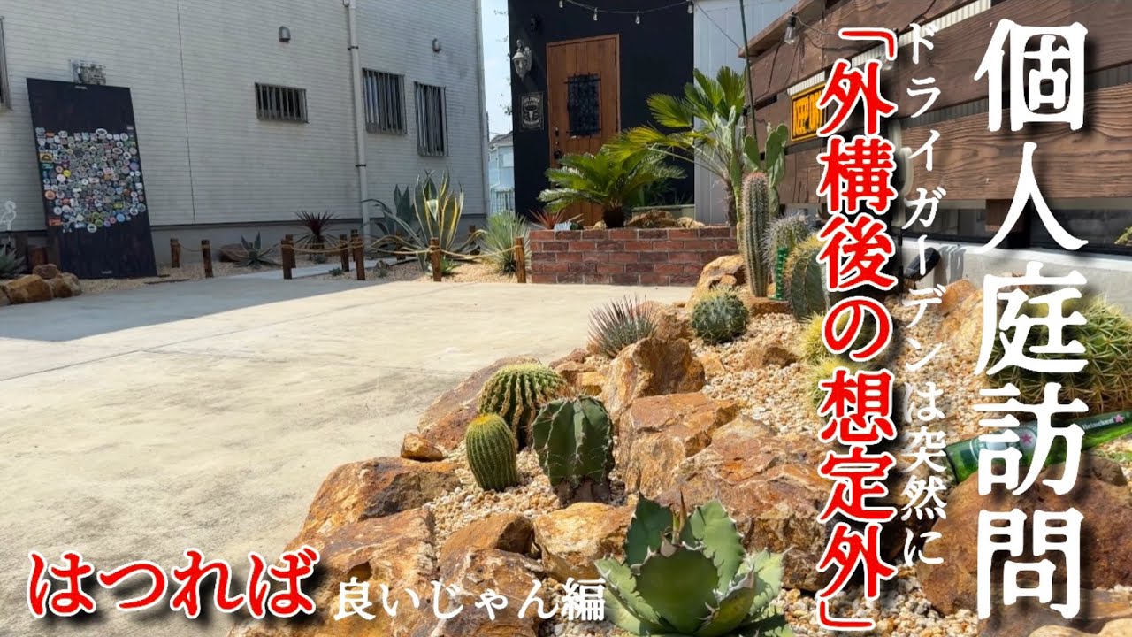 【個人庭訪問】コンクリートを剥がして作るドライガーデン！趣味は工夫して次第で実現可能！