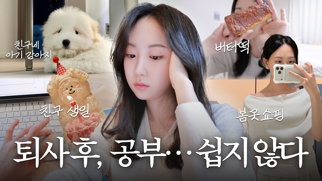 𝐕𝐋𝐎𝐆 | 30살 유학준비 시작, 그리고.. 또 큰 결심! ✈️