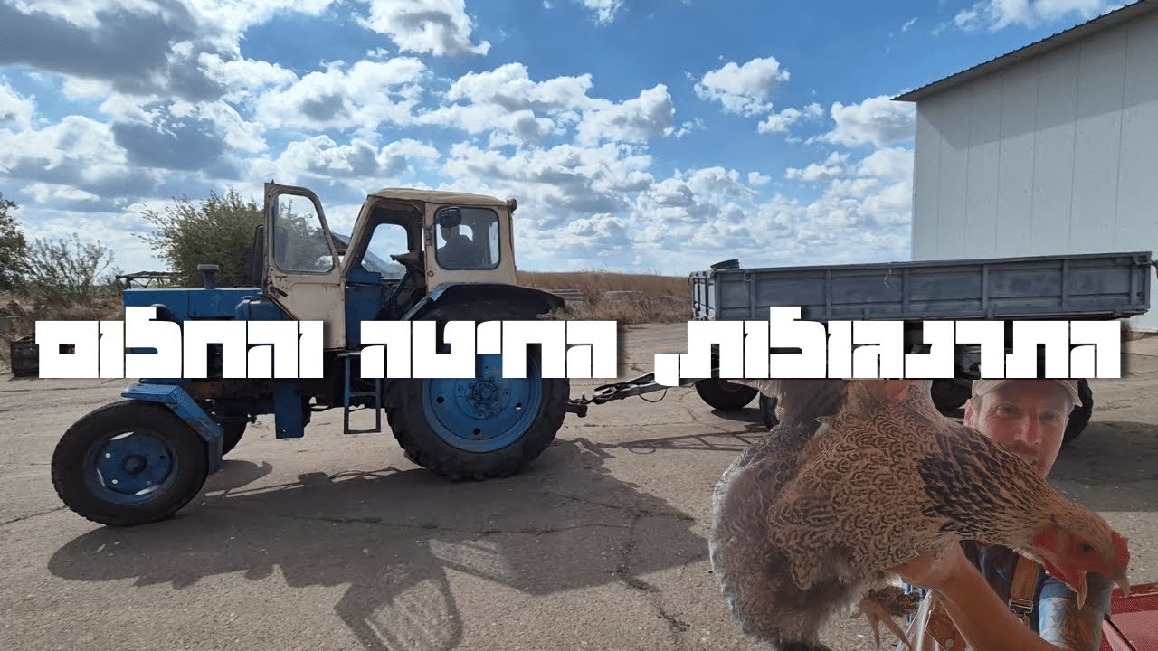 בונים את החווה בדרום מולדובה – סימון להקה וטונות של חיטה