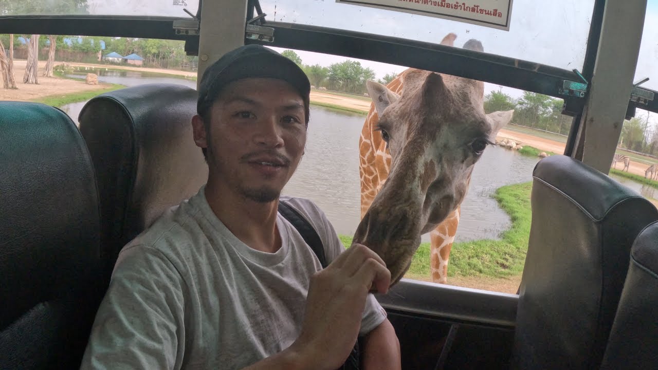 泰國vlog ep.5│美功鐵道市集│北碧府野生動物園│死亡鐵路│考山路│