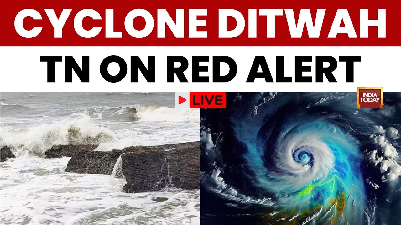 Cyclone Ditwah LIVE News: Alert In South India | Over 200 Dead in Sri Lanka | 400 Indians Stranded