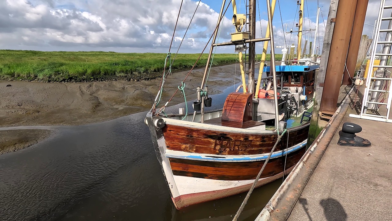 Wurster Nordseeküste: Spieka-Neufeld Kutterhafen, Salzwiesen Natur pur und Meer