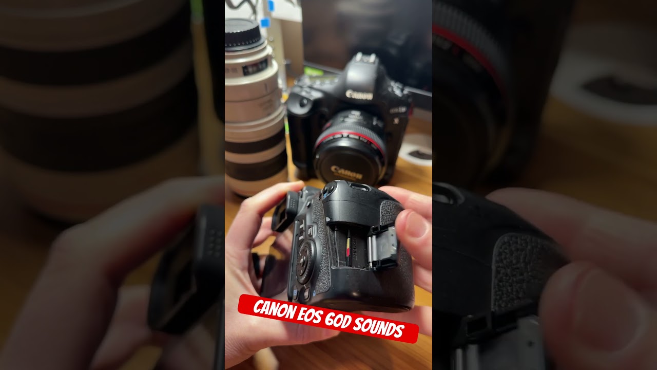 Canon 60D Setup Sounds #canon #photography #asmr #60d #50mm #f1.2 #eos