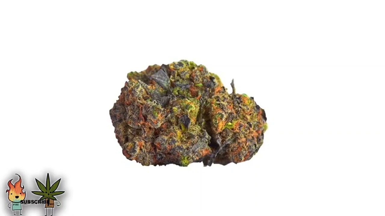 Top 5 Strongest Weed Strains Of 2022 Strongest CaNNABIS 2022