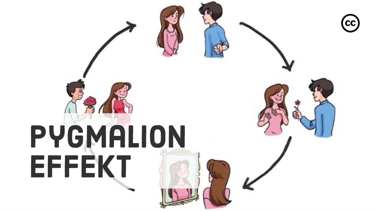 Der Pygmalion Effekt