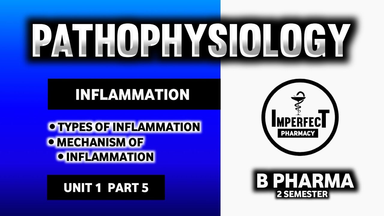 Inflammation | Mechanism Of Inflammation | Types Of Inflammation | Pathophysiology | B Pharma