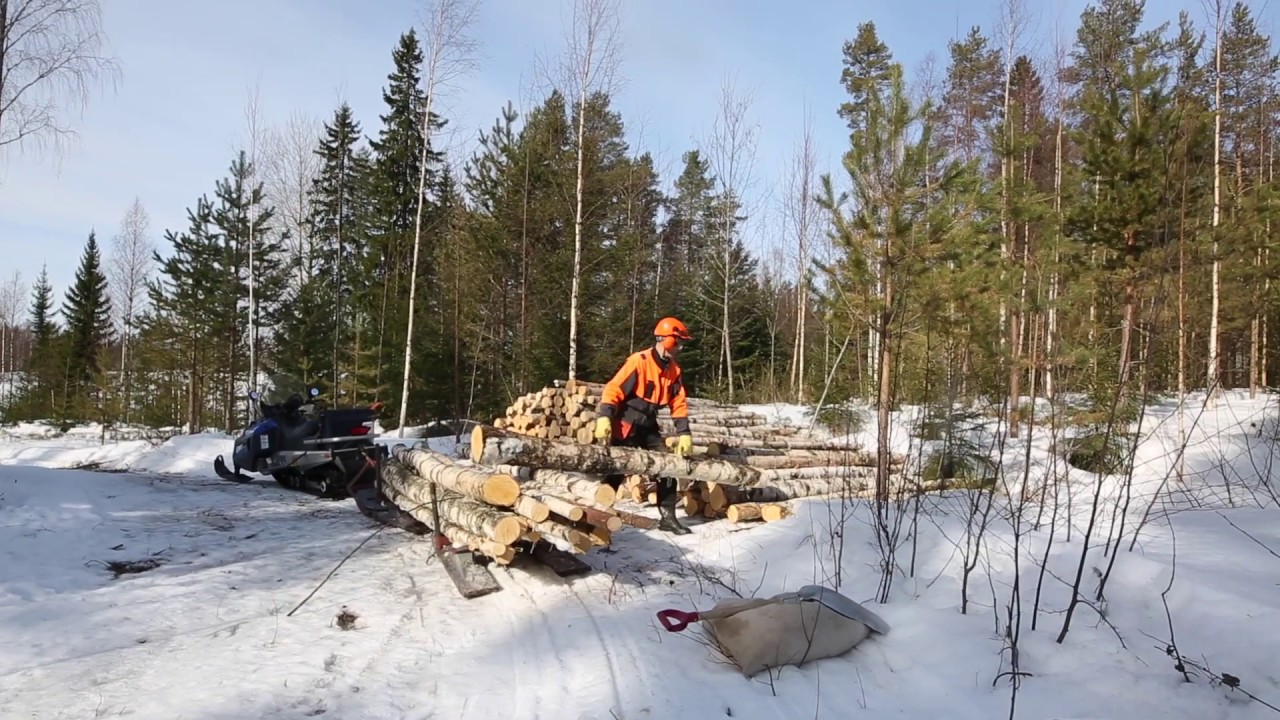 Polttopuusavotta moottorikelkalla hankikelillä