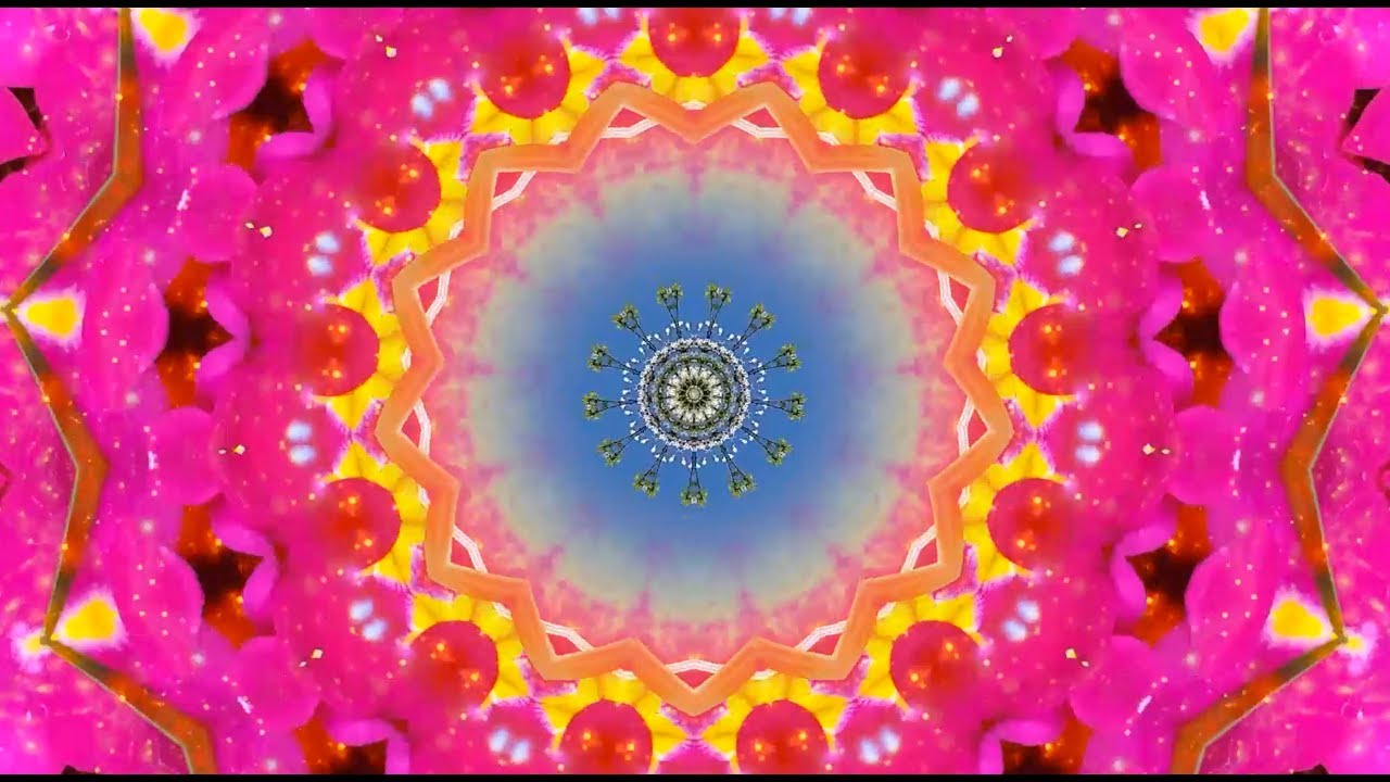 globular : Entangled Everything : [2018 Full Album]