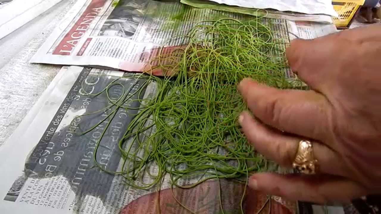 restauration d'une soie naturelle video 3  (fin)