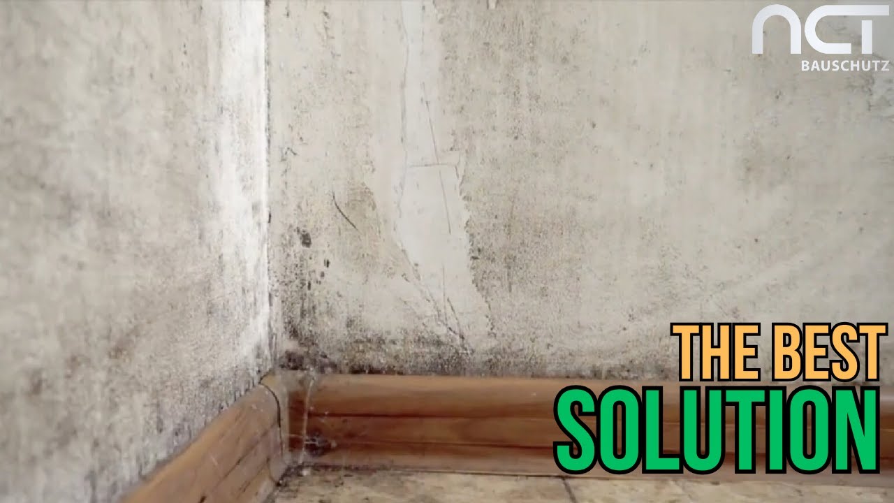 Horizontal Action of NCT Mineral Mortars Against Moisture in Walls
