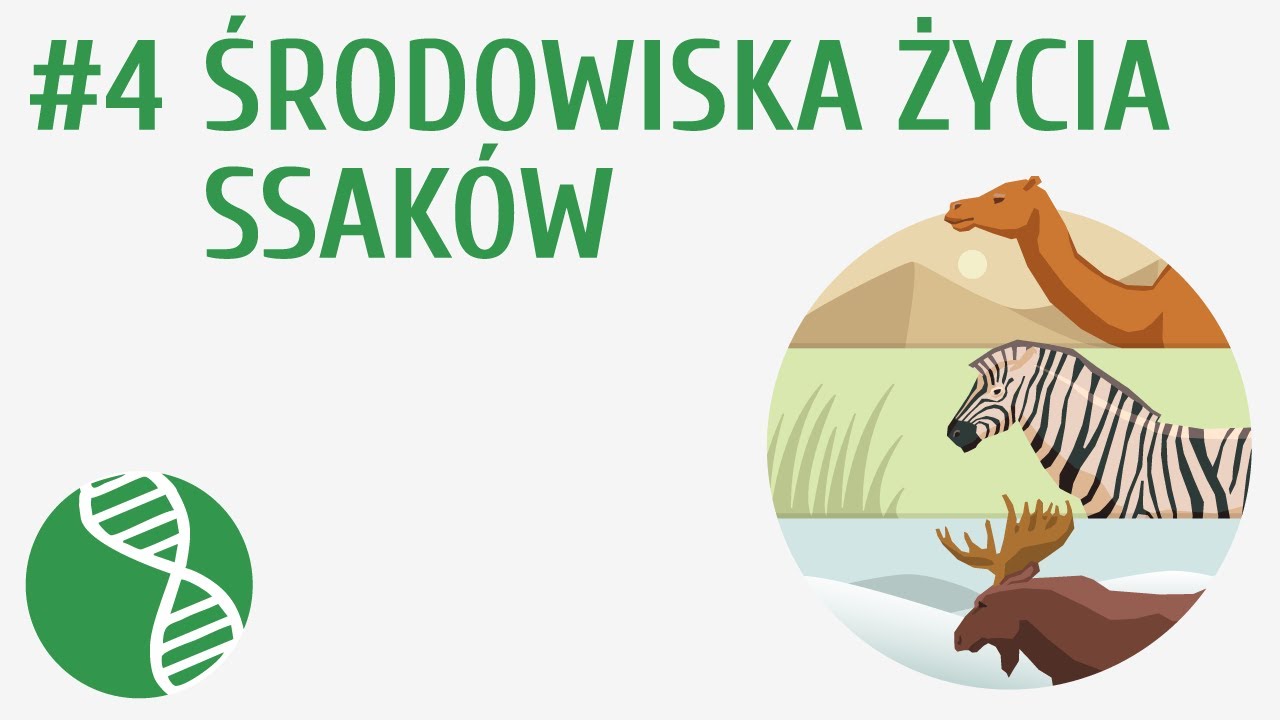 Środowiska życia ssak&oacute;w #4 [ Ssaki ]