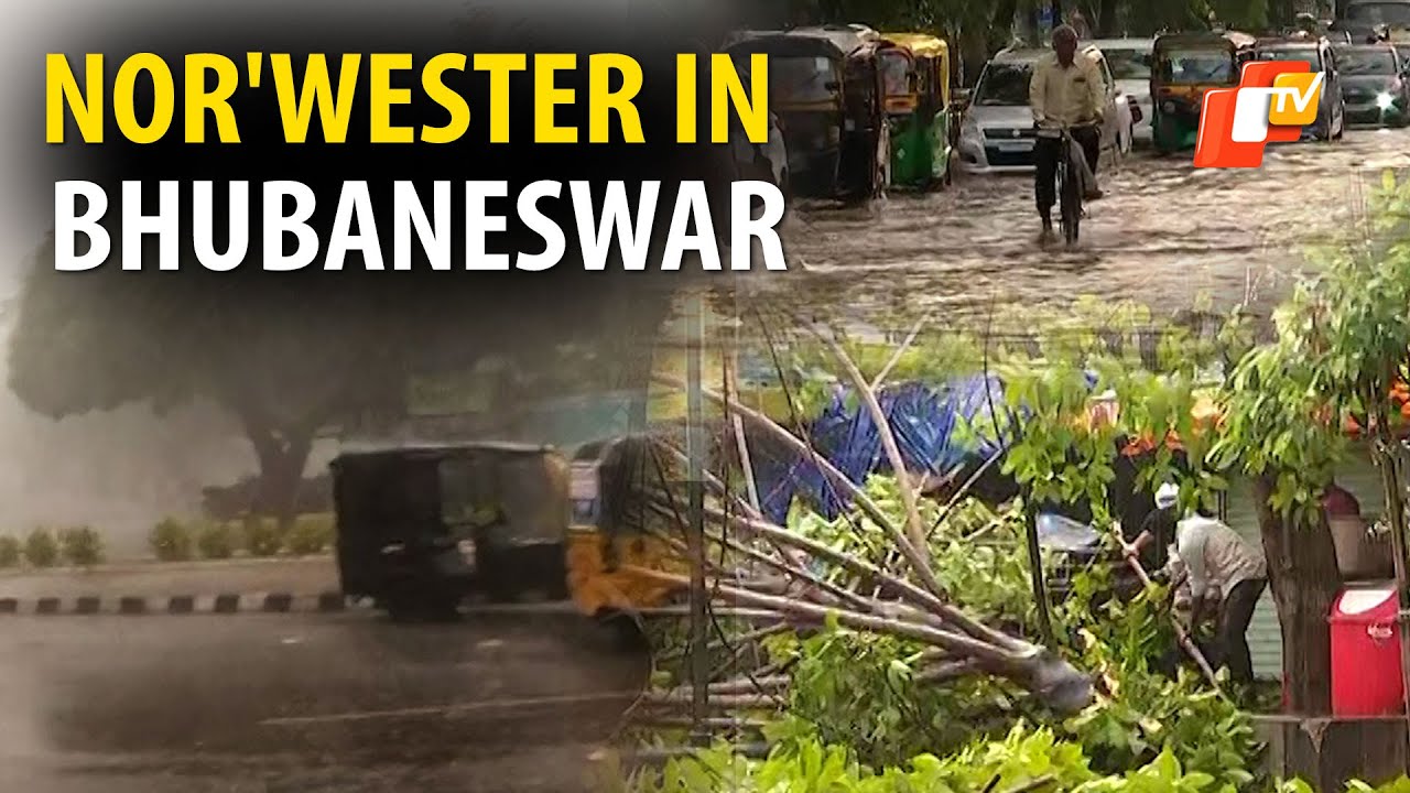 Rain, Dust Storm In Bhubaneswar Blow Off House Roofs & Uproot Trees In Many Areas | Odisha | OTV