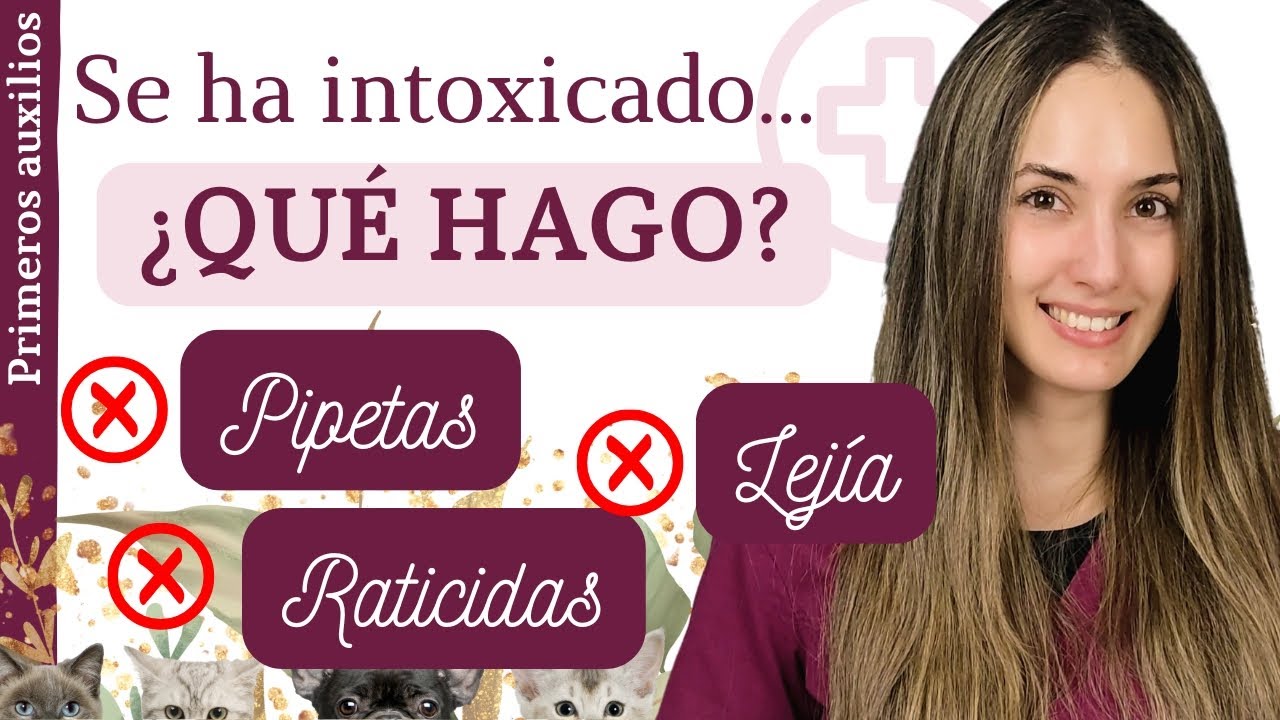 ¿Qué hacer si se ha INTOXICADO?