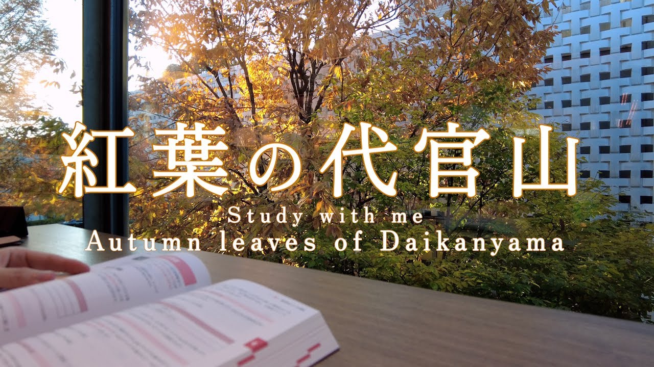 study with me 紅葉の代官山で一緒に勉強しませんか？ 1時間 勉強動画 作業用