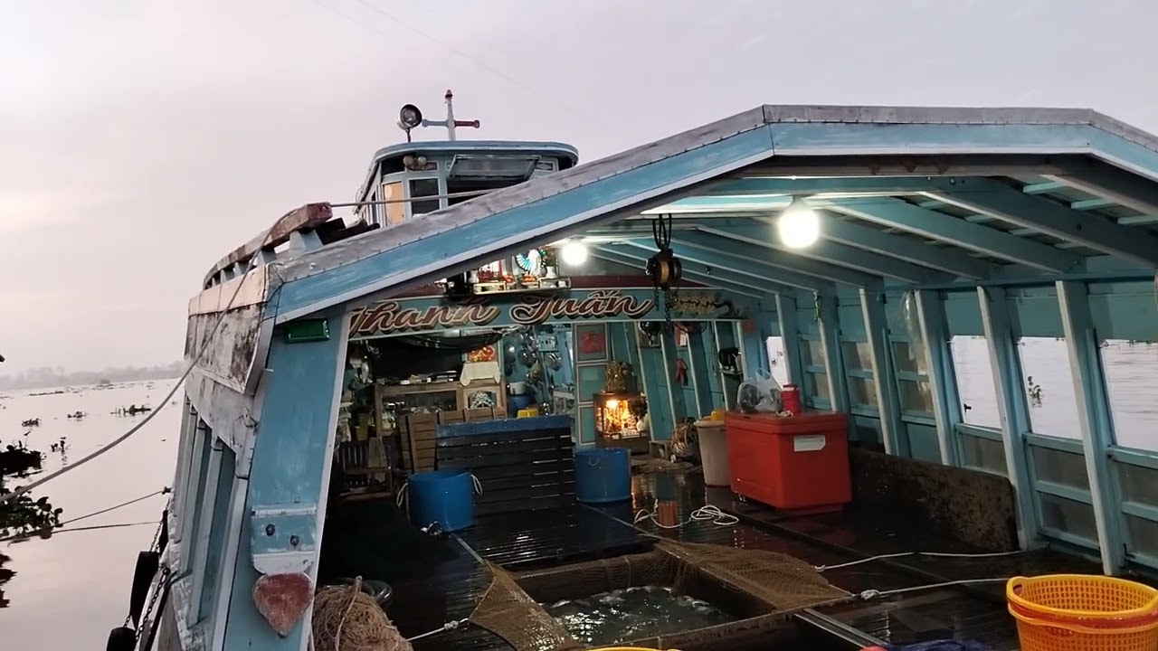 Phong cảnh bắt cá chim xuống ghe trời buổi sáng rất là đẹp 