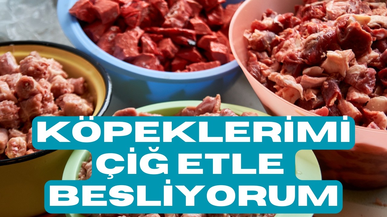 BARF Beslemede Nelere Dikkat Etmeliyim? Köpeğimi Barf'la Beslediğim Zaman Ne Gibi Avantajları Olur?