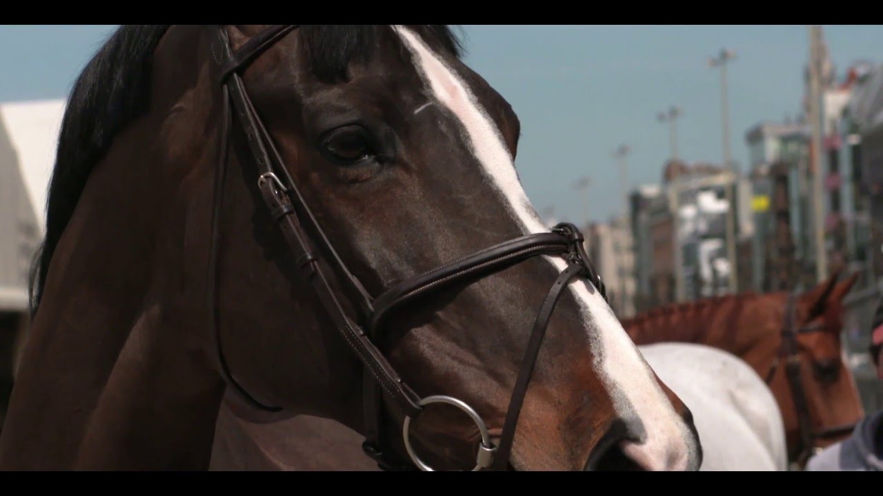 It takes two... Training talk with Harrie Smolders and Jos Verlooy at LGCT Antwerp