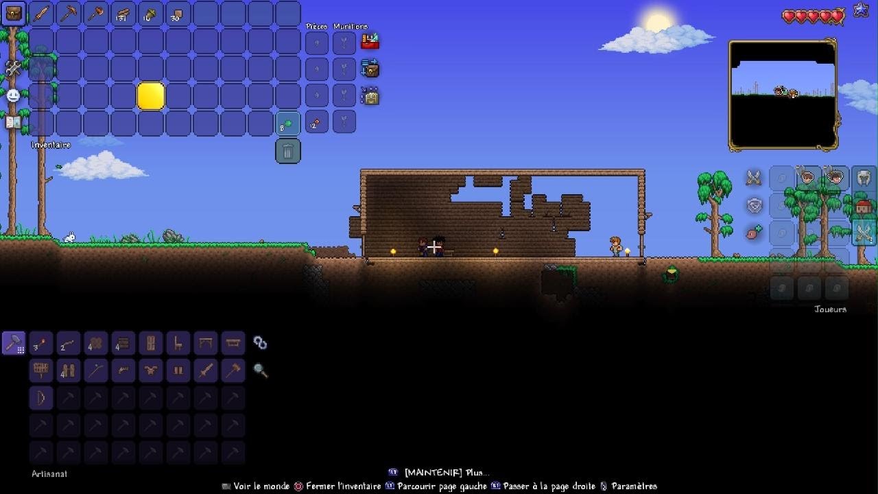 2 idiot dans Terraria