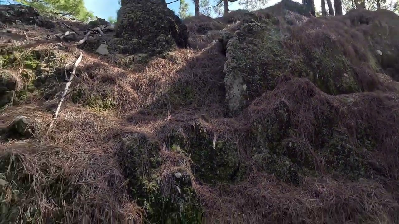 Las coladas del volcán de Trevejo 