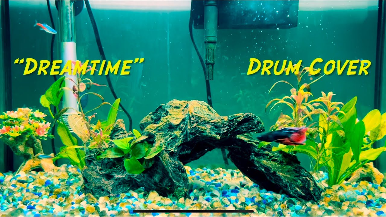 Vanupié Feat.Panic “Dreamtime” (Drum Cover)