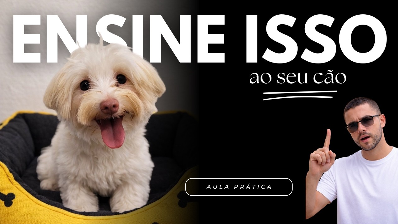 Comando cama: a base do cão relaxado e tranquilo!
