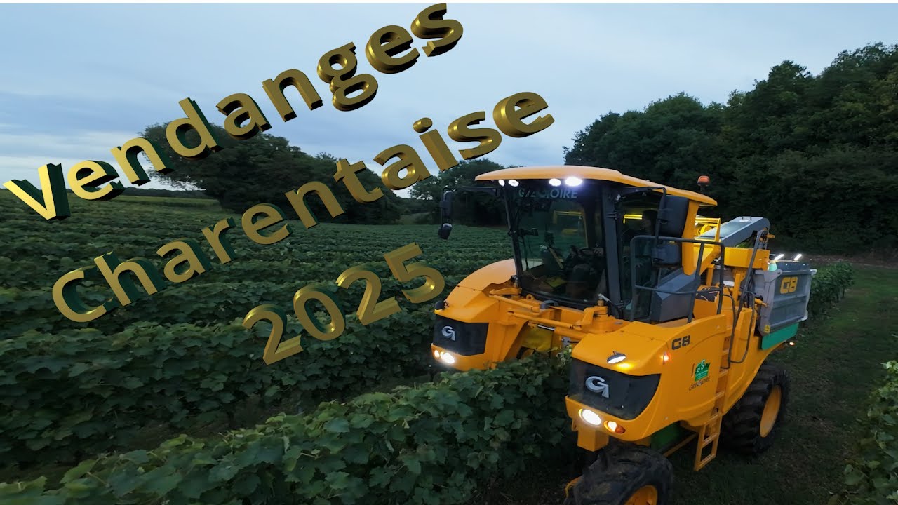 Vendanges Charentaise 2025 partie 2