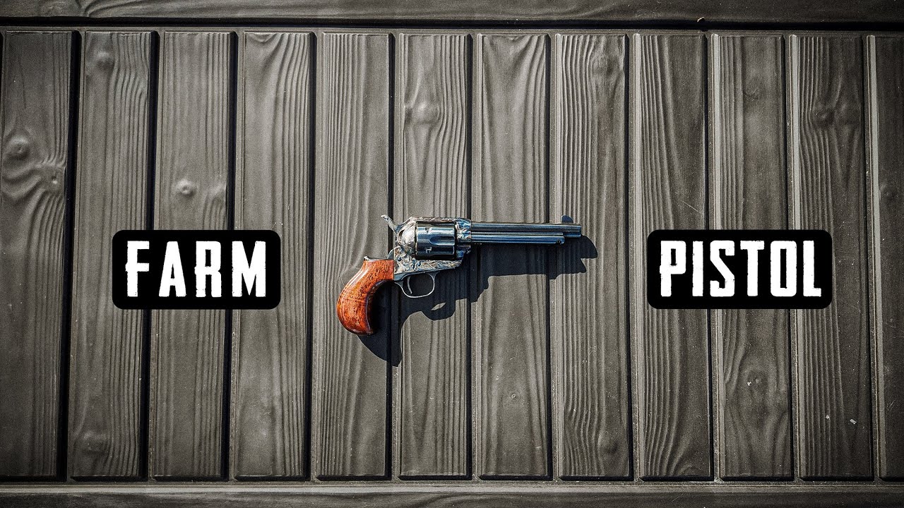 The Best FARM GUN to Keep on Your Hip out on the Homestead!