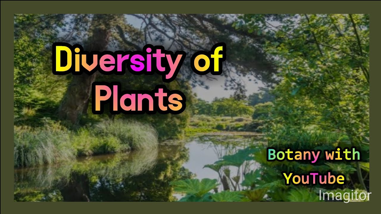 Diversity of Vascular Plants | diversity of plants | diversity among plants | kingdom plantae |plant