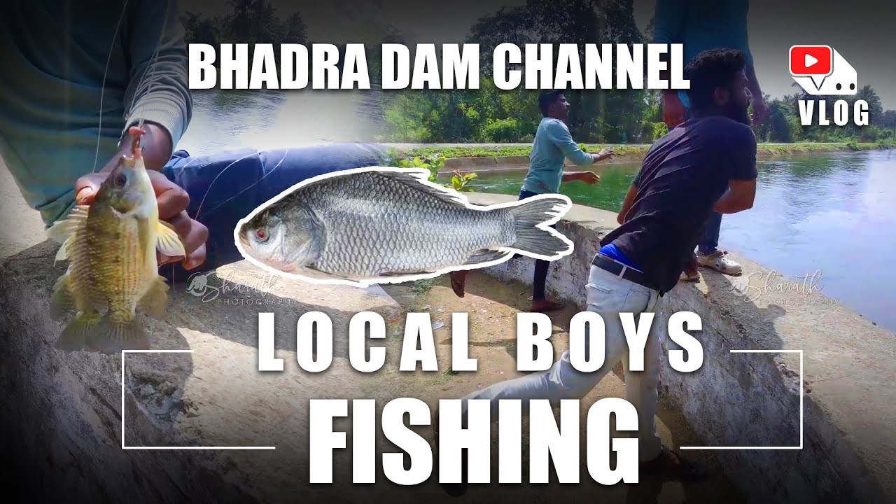 Bhadra Dam - Local Boys Fishing Vlog #fish  #Badhratigerreserve #Badhra #karnataka #safari #fishing